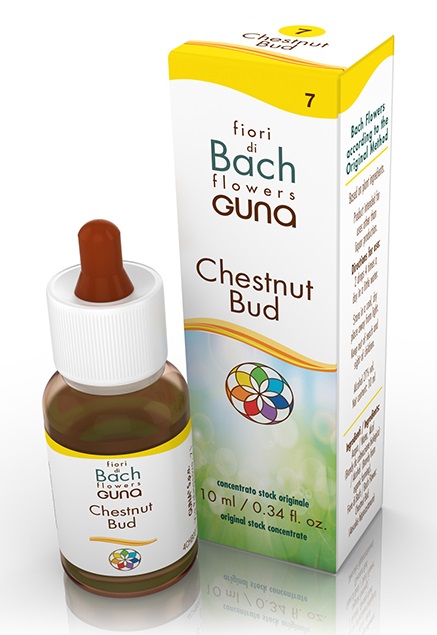 CHESTNUT BUD GOCCE 10 ML - Farmacia Castello Srl