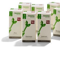 RIBES NERO MACERATO GLICERICO 200 ML - Farmacia Castello Srl