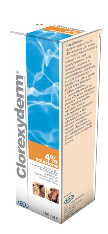 CLOREXYDERM SOL 4% SCHIUMA 100 ML - Farmacia Castello Srl