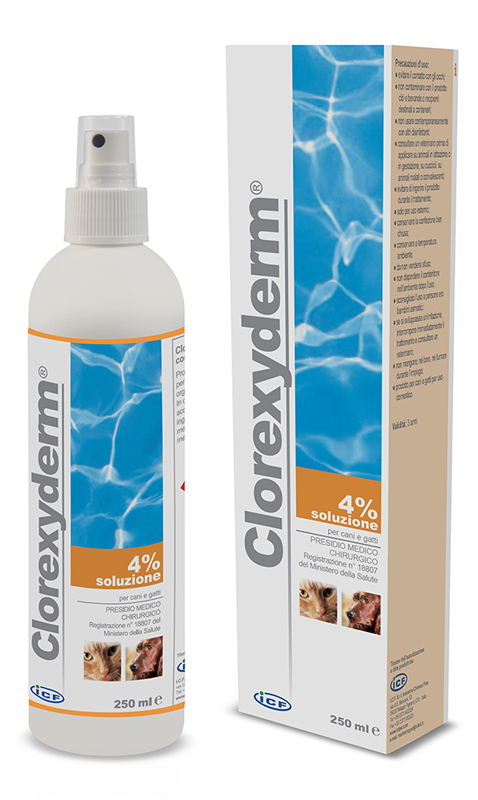 CLOREXYDERM SOLUZIONE 4% 250 ML - Farmacia Castello Srl