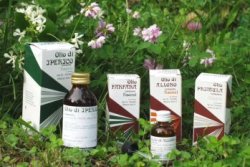 RAEMIL PROPOLI OLIO 25 ML - Farmacia Castello Srl