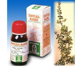 UVA URSINA 30 50ML TM - Farmacia Castello Srl