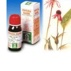 ECHINACEA 59 50ML TM - Farmacia Castello Srl