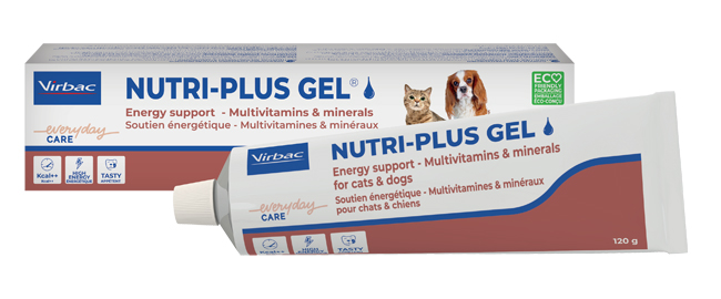 NUTRIPLUS GEL PASTA ORALE 120 G - Farmacia Castello Srl
