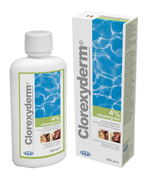 CLOREXYDERM SHAMPOO 4% 250 ML - Farmacia Castello Srl