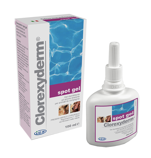 CLOREXYDERM SPOT GEL 100 ML - Farmacia Castello Srl