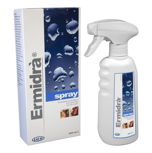 ERMIDRA' SPRAY 300 ML - Farmacia Castello Srl