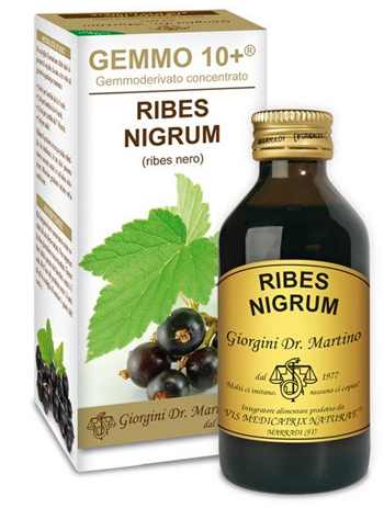 GEMMO 10+ RIBES NERO 100 ML LIQUIDO ANALCOLICO - Farmacia Castello Srl