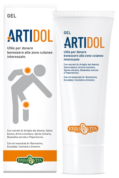 ARTIDOL GEL 100 ML - Farmacia Castello Srl