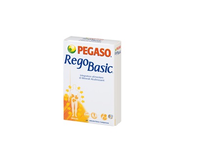 REGOBASIC 12 BUSTINE POLVERE - Farmacia Castello Srl