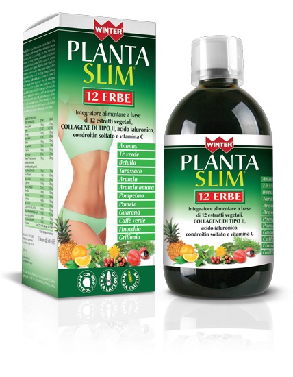 WINTER PLANTA SLIM 12 ERBE 500 ML - Farmacia Castello Srl