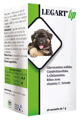 LEGART UP 60 COMPRESSE DA 1 G - Farmacia Castello Srl