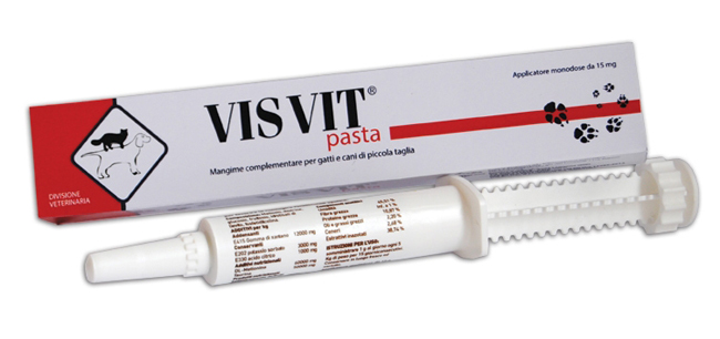 VISVIT PASTA OS SIRINGA 15 G - Farmacia Castello Srl