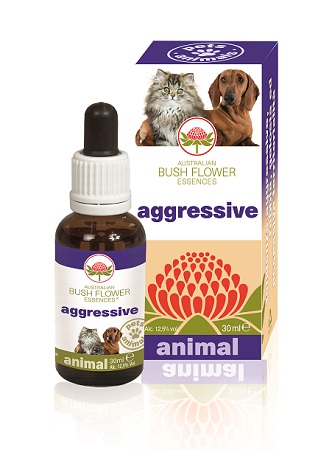 AGGRESSIVE 30 ML - Farmacia Castello Srl