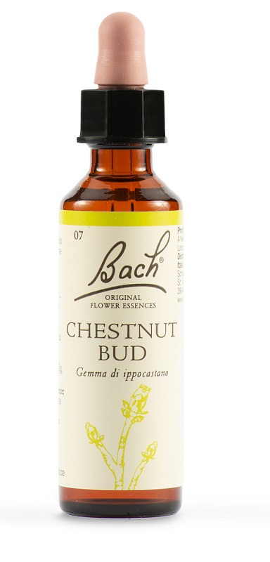 CHESTNUT BUD BACH ORIG 20 ML - Farmacia Castello Srl