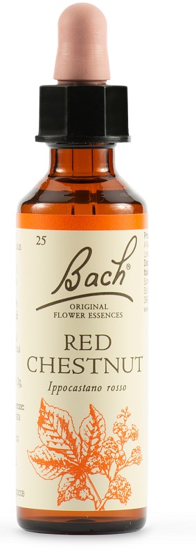 RED CHESTNUT BACH ORIG 20 ML - Farmacia Castello Srl
