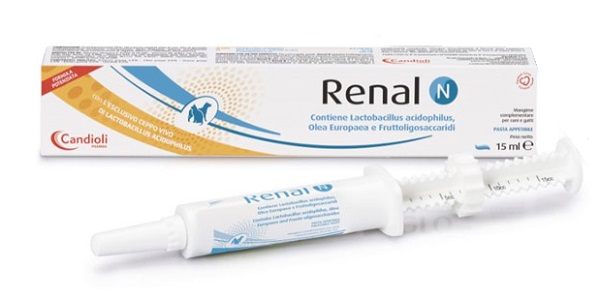RENAL N PASTA SIRINGA DOSATRICE 15 ML - Farmacia Castello Srl