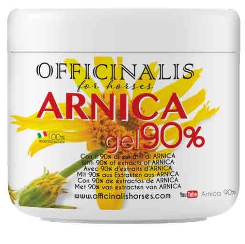 ARNICA GEL 90% 500 ML - Farmacia Castello Srl