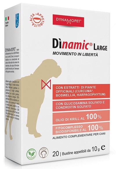 DINAMIC LARGE 20 BUSTINE 10 G - Farmacia Castello Srl