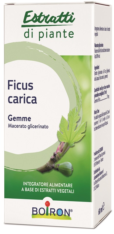 FICUS CARICA BOIRON MACERATO GLICERICO 60 ML - Farmacia Castello Srl