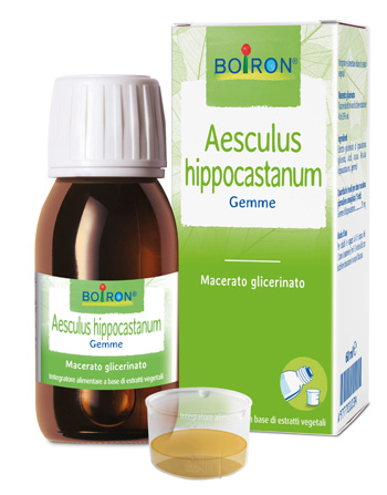AESCULUS HIPP BOIRON MACERATO GLICERICO 60 ML - Farmacia Castello Srl