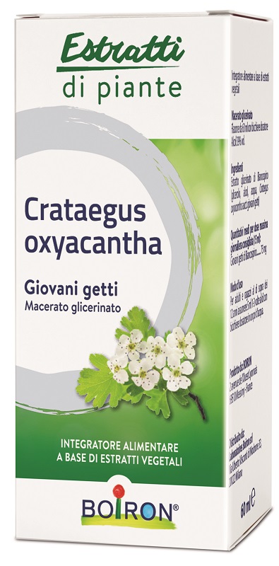 CRATAEGUS BOIRON MACERATO GLICERICO 60 ML - Farmacia Castello Srl
