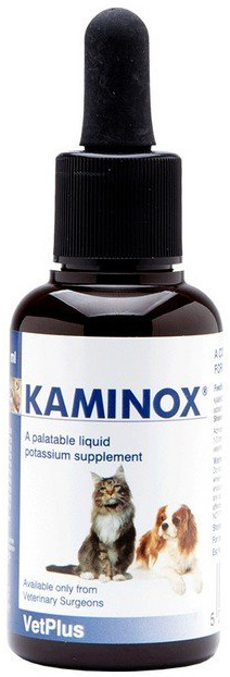 KAMINOX SCIROPPO 60 ML - Farmacia Castello Srl