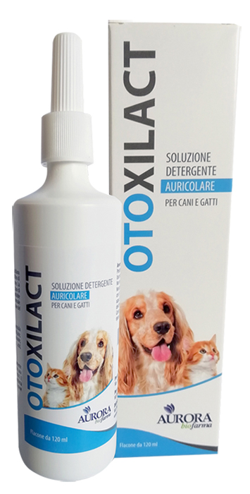 OTOXILACT DETERGENTE AURICOLARE - Farmacia Castello Srl