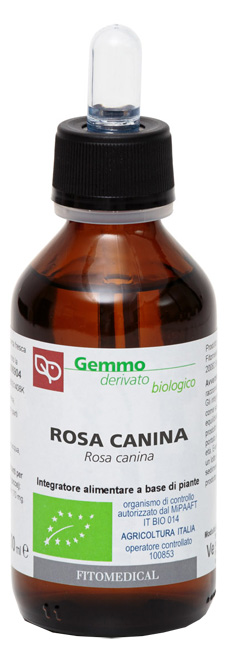 ROSA CANINA MACERATO GLICERICO 100 ML BIO - Farmacia Castello Srl