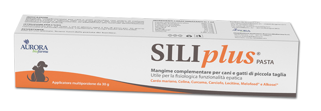SILIPLUS PASTA 30 G - Farmacia Castello Srl