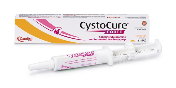 CYSTOCURE FORTE PASTA 15 ML - Farmacia Castello Srl