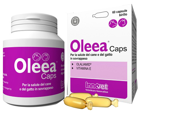 OLEEA CAPS 60 CAPSULE - Farmacia Castello Srl
